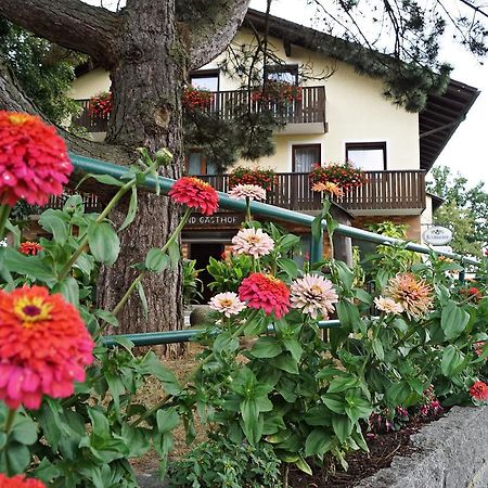 Hotel-Landgasthof Henghuber Rötz Zewnętrze zdjęcie